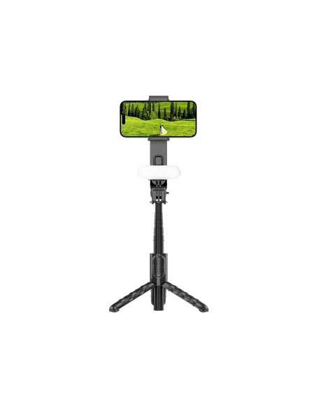 Selfie stick with Warriors tripod